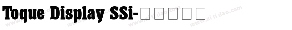 Toque Display SSi字体转换